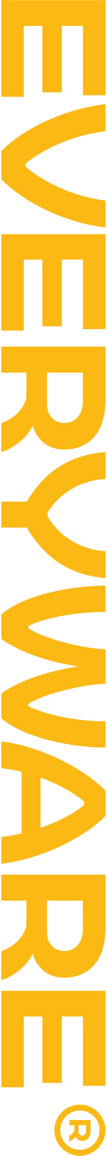 Everyware yellow logo
